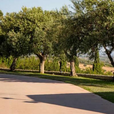 Percorsi Nel Parco
