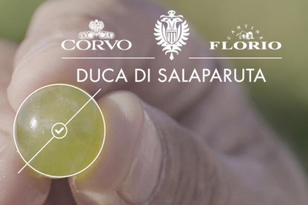 Florio - Duca di Salaparuta