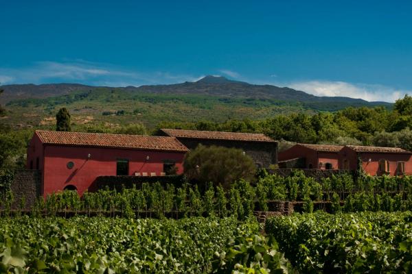 Terrazze dell'Etna